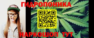 амф Заволжье