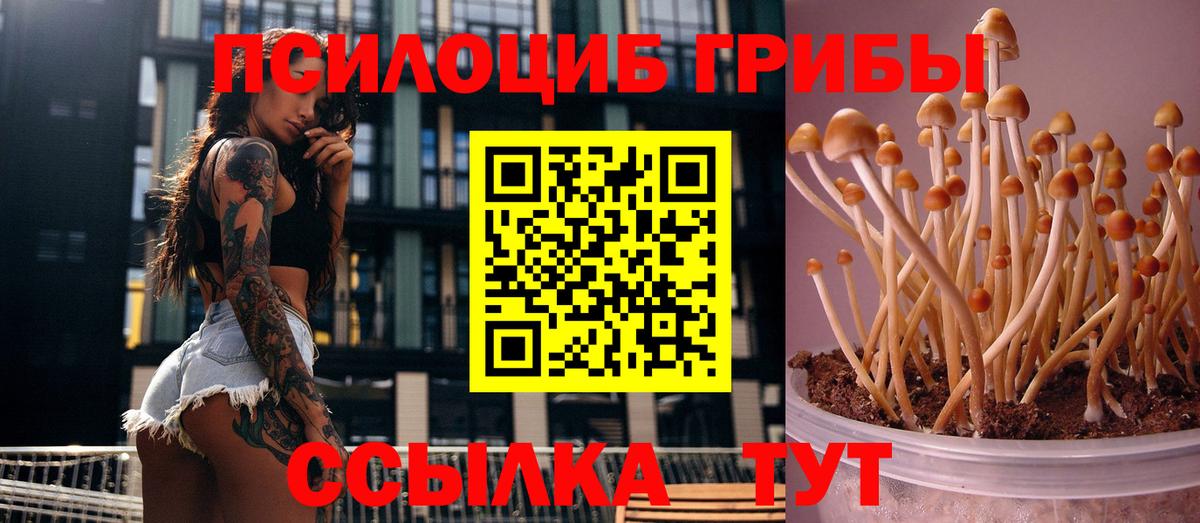 Галлюциногенные грибы Magic Shrooms  Вход с VPN  Кунгур 
